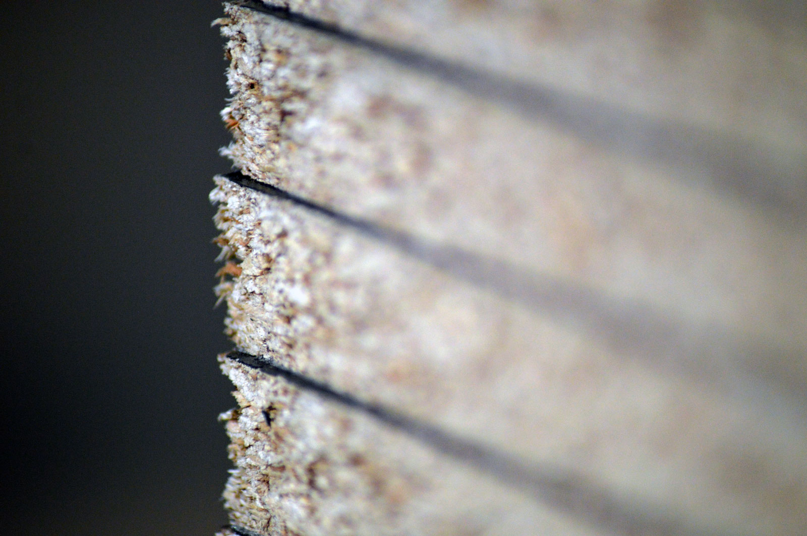 структура МДФ