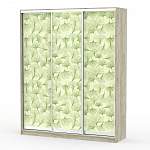 Шкаф-купе Сити 24 BMS - Фото 8