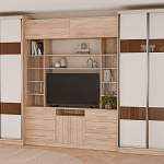 Шкаф купе TV-24 BMS - Фото 4