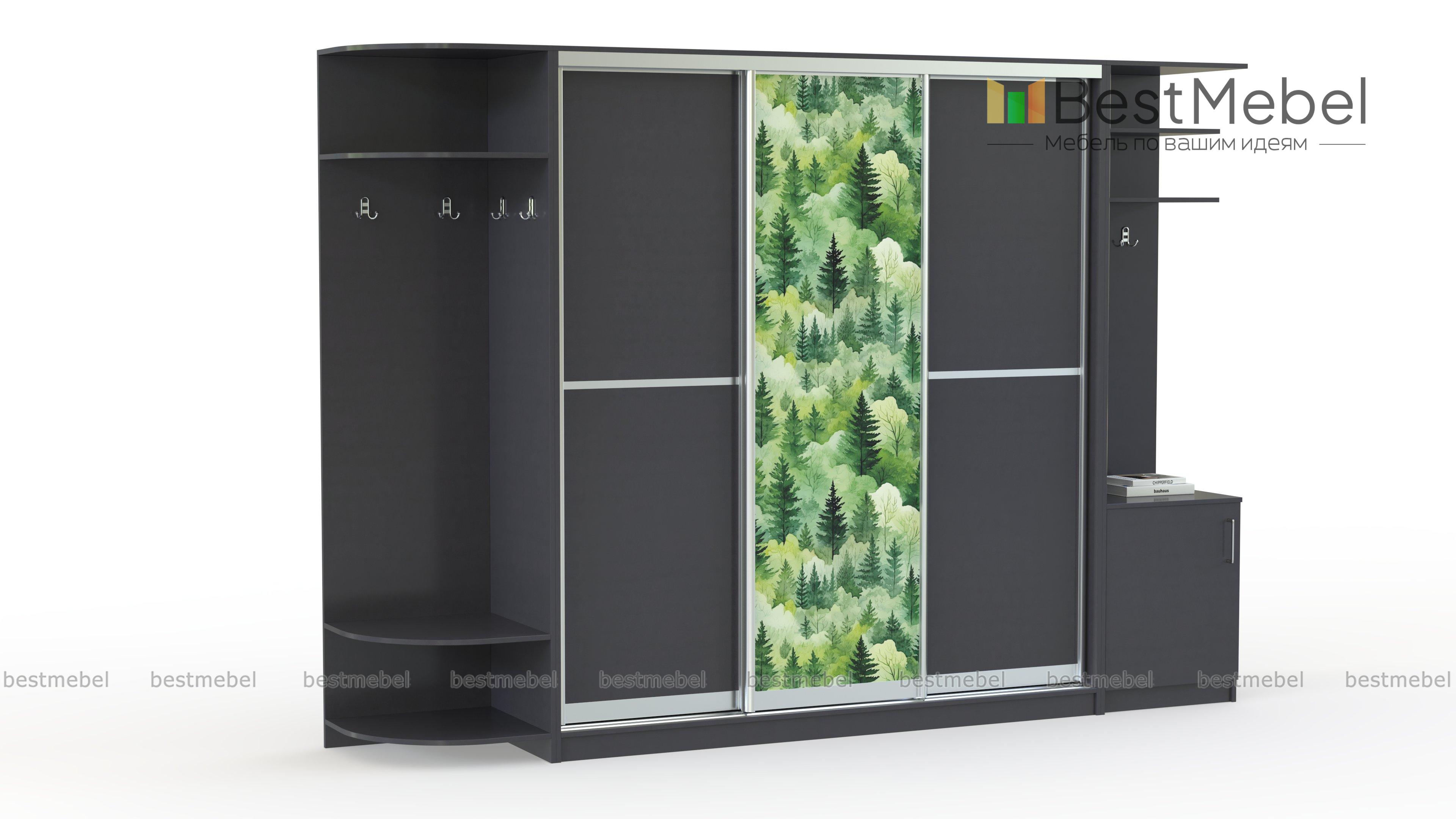 Шкаф-купе Листья 7 BMS - Фото