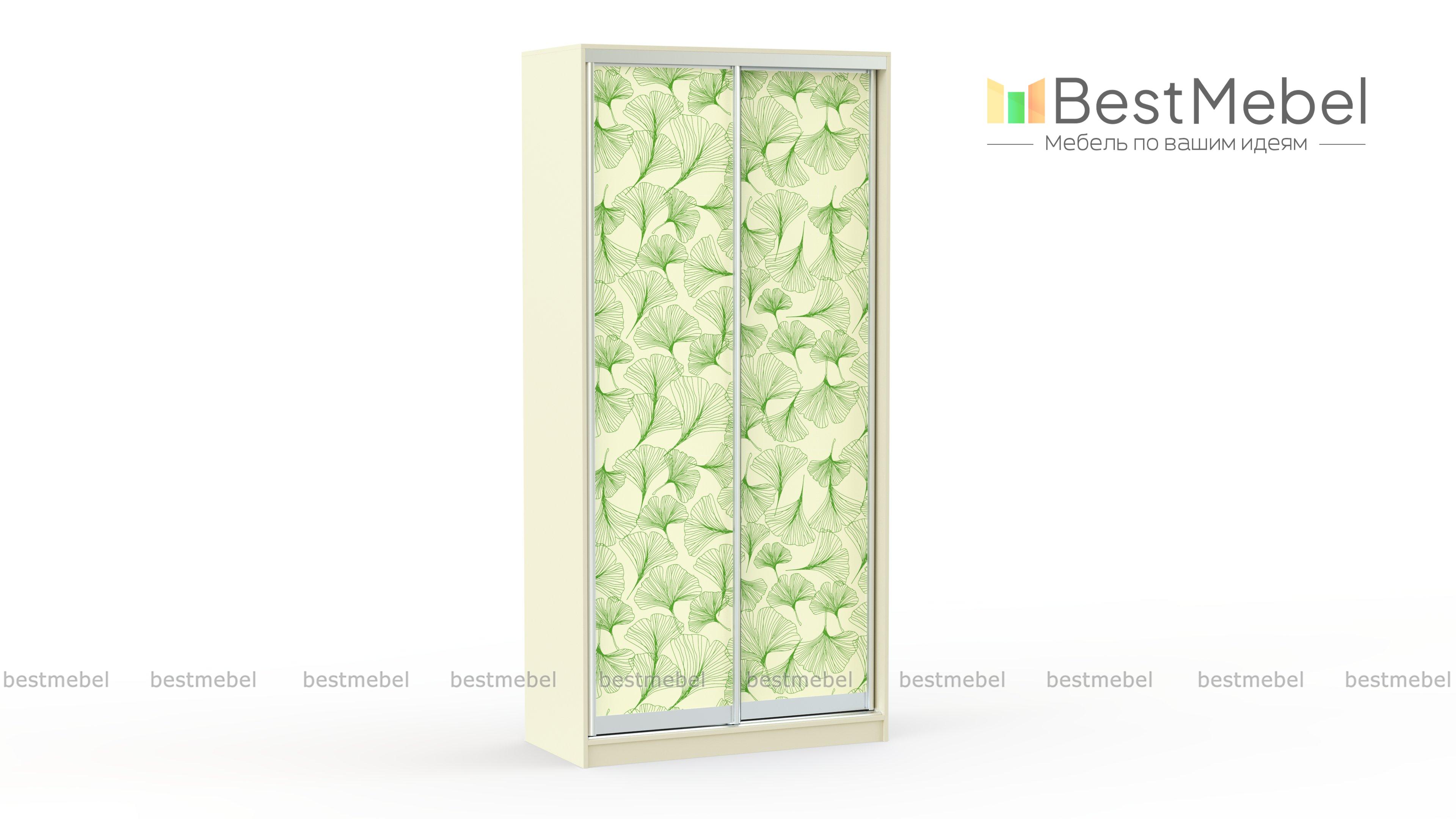 Шкаф-купе Кот 4 BMS - Фото