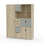 Шкаф комбинированный Авгий BMS - Фото 4