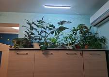 Комод Миф BMS