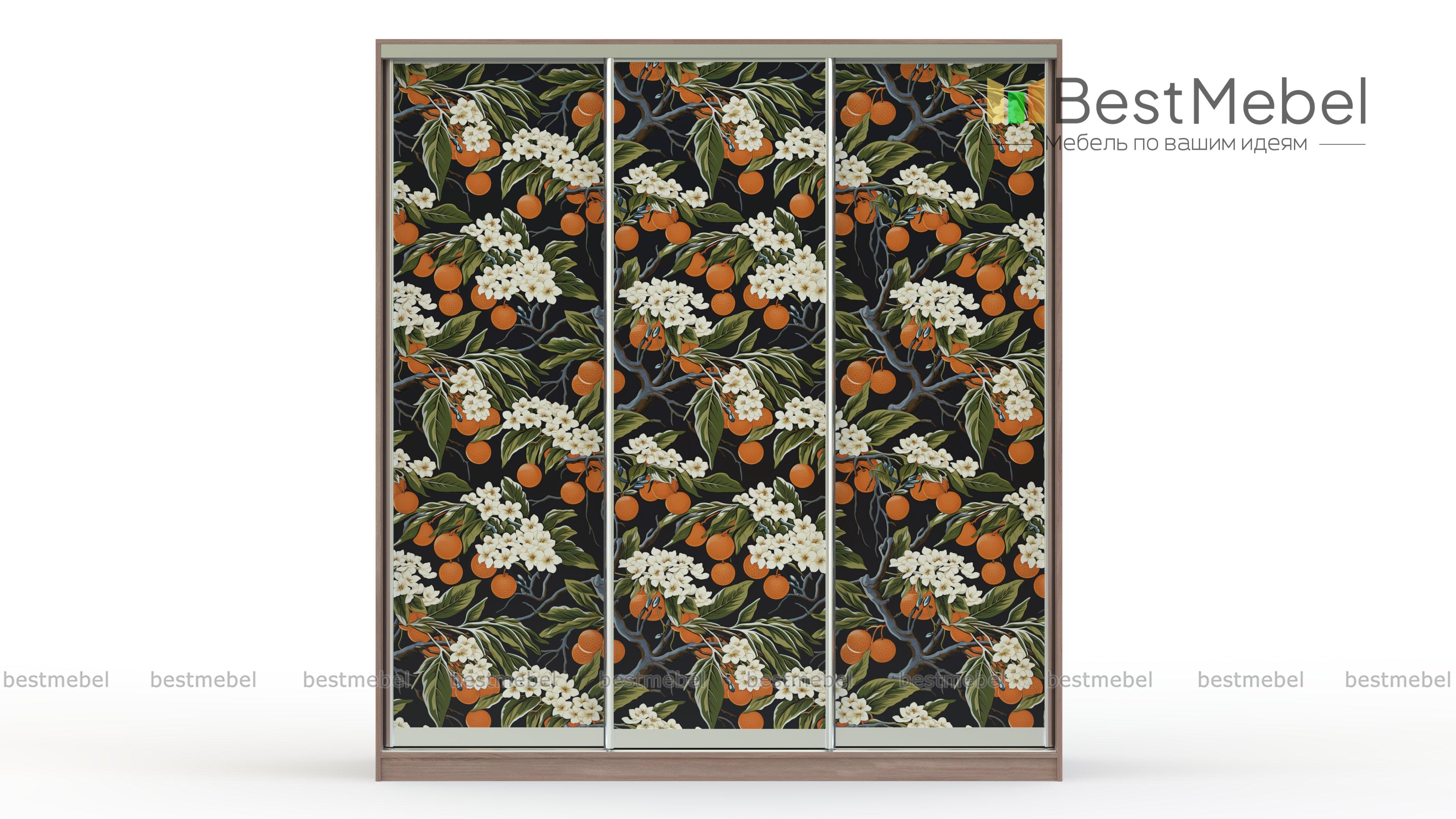 Шкаф-купе Бассо 7-600 39 BMS - Фото