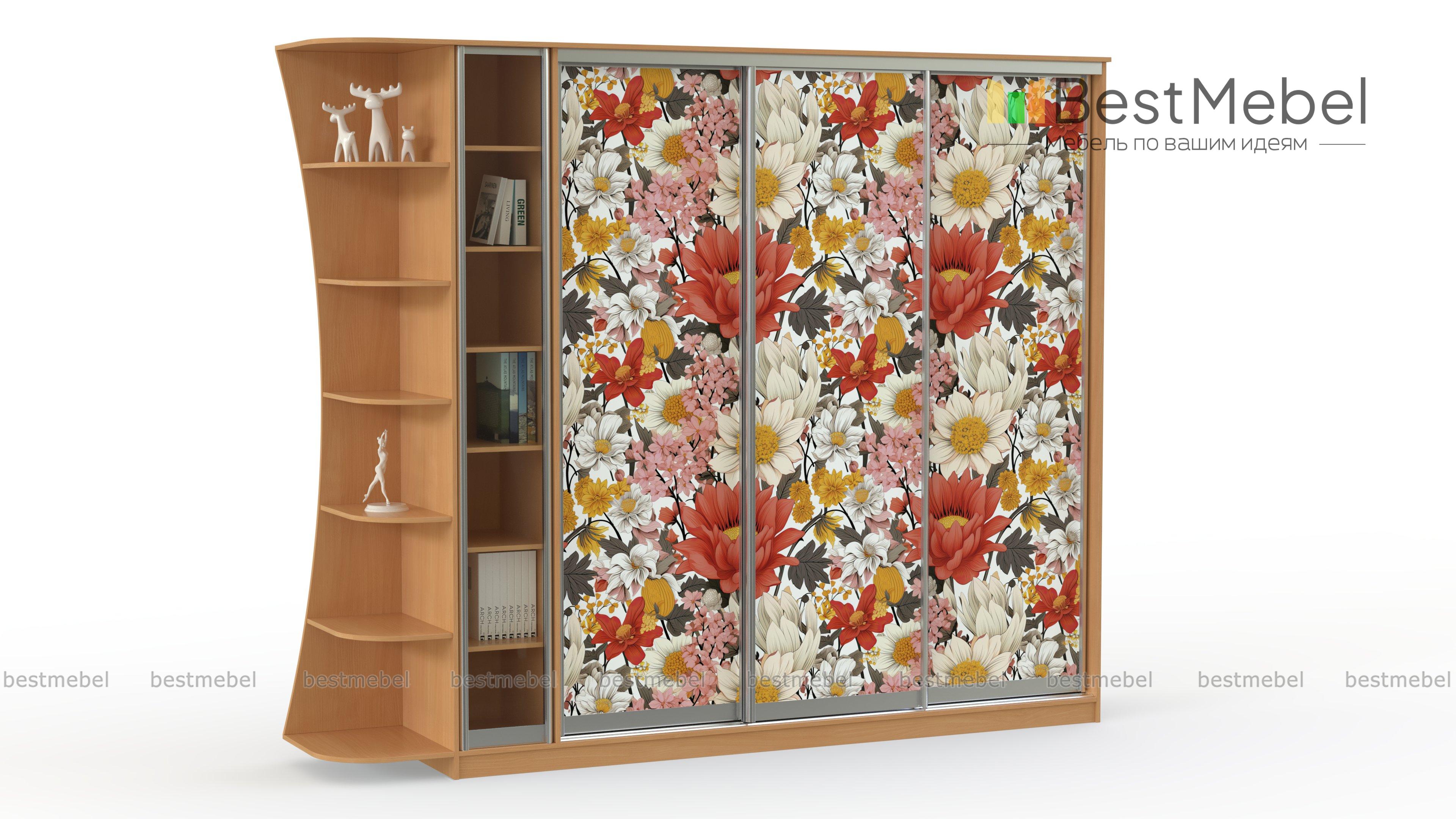 Шкаф-купе Композиция-23 BMS - Фото