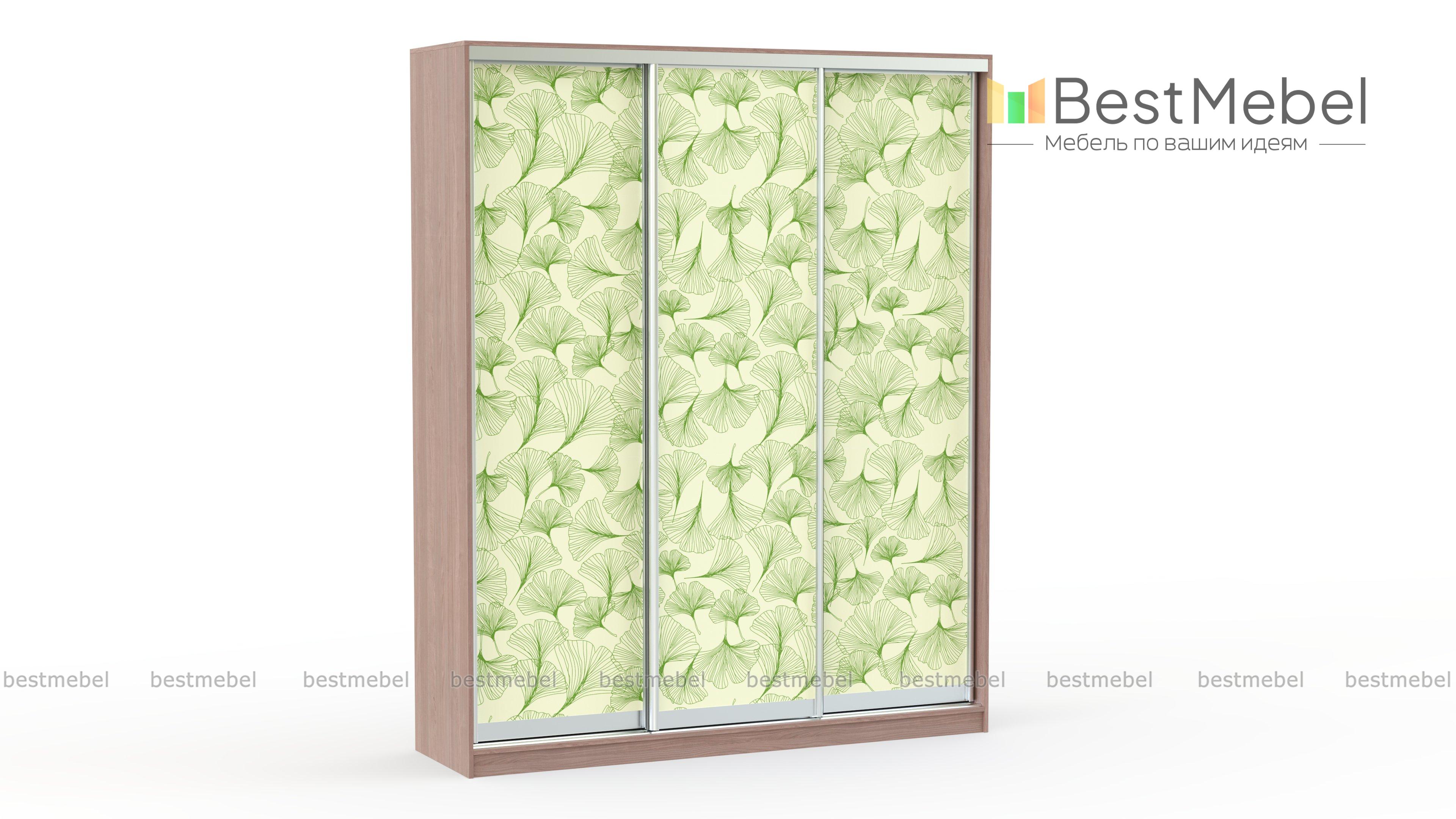 Шкаф-купе Сити 24 BMS - Фото