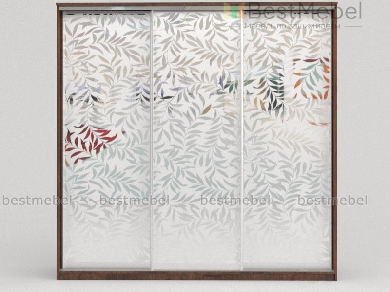 Шкаф-купе Норис BMS - Фото